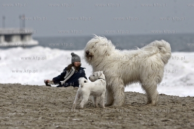 Niedziela na plazy w Gdyni Orlowie.
02.02.2014
fot....