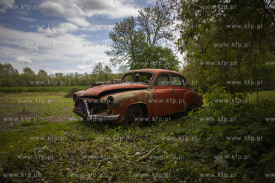 Żuławy. Wrak samochodu Wartburg we wsi Cyganek.
08.05.2019
fot....