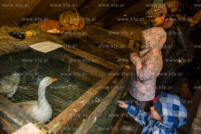 Gdansk. Zywa szopka Bozonarodzeniowa przy kosciele...