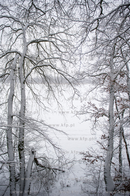 Sniezny zimowy dzien nad jeziorem Otominskim.
21.01.2016
fot....