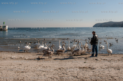 Gdynia. Słoneczna, jednak mroźna pogoda na gdyńskiej...