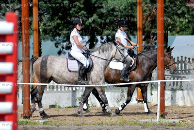 Stadnina koni MORINA w Redzie/Wejherowa. Towarzyskie...