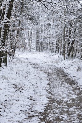 Zima w Koszalinie 29.11.2010. fot. Jaroslaw Ryfun /...