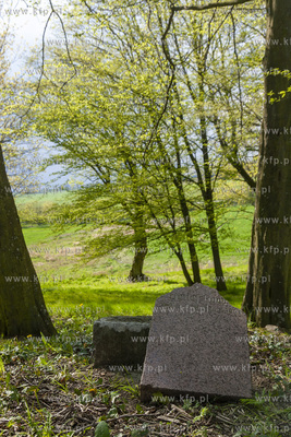 Podworski park w Arciszewie w Gminie Pruszcz Gdański....