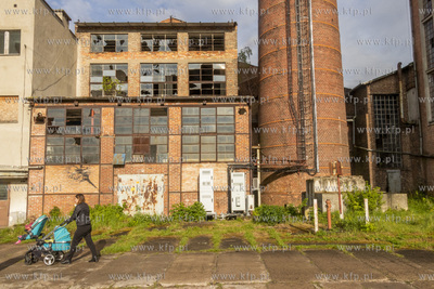 Botaniczny Pruszcz. Spacer badawczy śladem roślin...