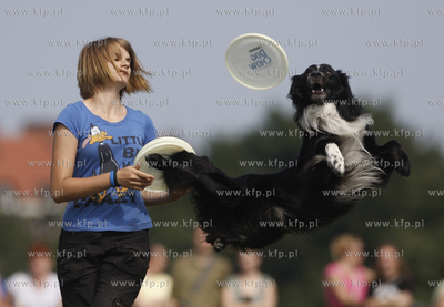 Sopot. Hipodrom. Zawody Frisbee - latajace psy za latajacym...