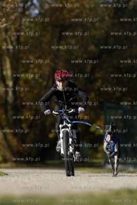 Gdańsk. Park Reagana. Pucharu Polski Psich Zaprzęgów...