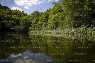 Sopot. Staw Nowowiejskiego, czyli tzw. Morskie Oko.
22.05.2017
fot....