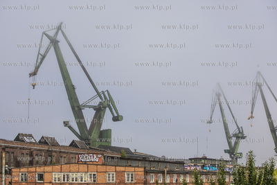 Dzwigi Stoczni Gdańskiej we mgle.
12.06.2020
fot....