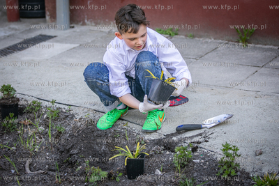 Sopot. Szkoła podstawowa nr. 1. Warsztaty z budowy...