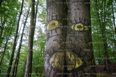 Gdańsk. Las w okolicach Osiedla Młodych. 19.05.2021...