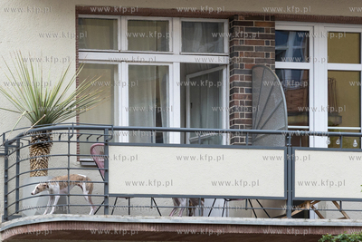 Gdyńska Mapa Modernizmu. Warsztaty filmu animowanego...