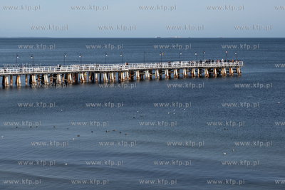 Przedwiośnie w Orłowie. 01.03.2026 / fot. Anna Rezulak...