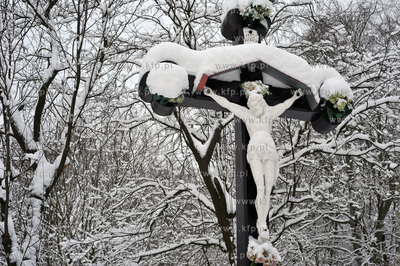 Trojmiejski Park Krajobrazowy zima. n/z przydrozna...