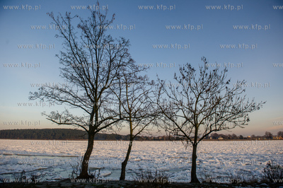 Skuta lodem Wisla na wysokosci przeprawy promowej w...