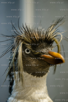 Uniwersytet Gdanski. Wydzial Biologii. Ekspozycja gadow,...