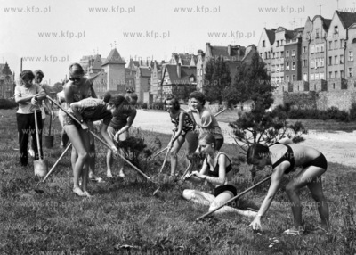 Dziewczyny porządkują teren zielony przy Podwalu...