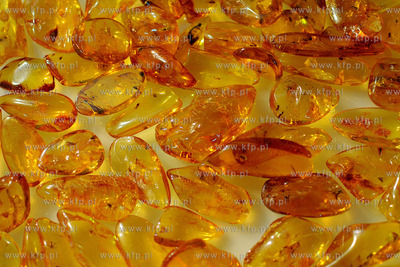 Amberif 2010. 17. Miedzynarodowe Targi Bursztynu, Bizuterii...