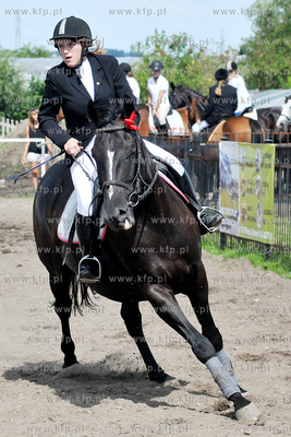 Stadnina koni MORINA w Redzie/Wejherowa. Towarzyskie...