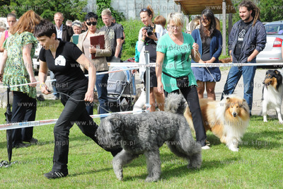 W Zespole Dworsko - Parkowym  w Gdyni Kolibkach odbyla...