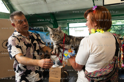 Międzynarodowa wystawa kotów rasowych "Koty na Hawajach"...