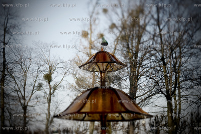 Sopot. Fontanna z solanka. 05.02.2010 fot. Krzysztof...