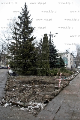 Sopot. Wykopywanie drzew i krzewow  na placyku przy...