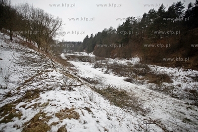 Gdansk. Wycinka drzew na trasie budowanej Kolei Metropolitalnej...