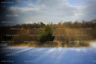 Park Ronalda Reagana.
20.01.2016
fot. Krzysztof Mystkowski...