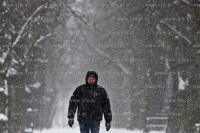 Gdańsk. Chodnik wzdłuż ulicy Hallera. 08.02.2017...