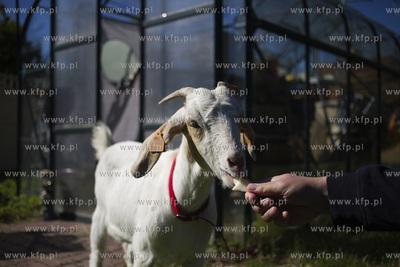 Jan Kruk ze Świńcza pod Pruszczem Gdańskim znalazł...