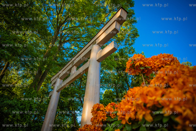Park Oliwski.Ogród Japoński.
11.06.2021
fot. Krzysztof...