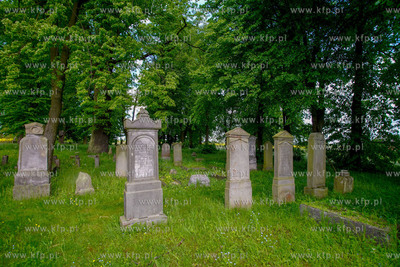 Cmentarz mennonicki w Stogach Malborskich na Żuławach....