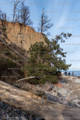 Przedwiośnie w Orłowie. 01.03.2026 / fot. Anna Rezulak...