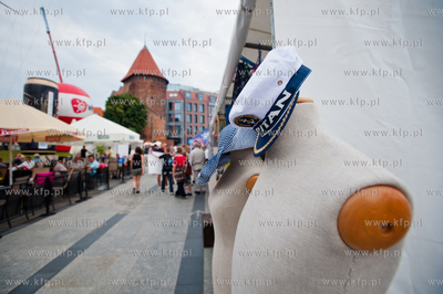 Gdansk. Zlot Zaglowcow Baltic Sail Gdansk 2013. Festiwal...