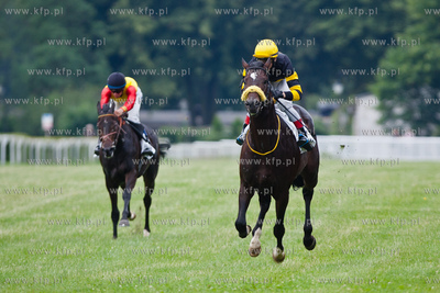 Wyscigi konne na sopockim hipodromie.
13.07.2013
fot....