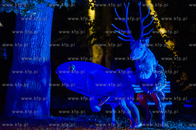 Gdansk. Park Centrum Hewelianum. XIX Miedzynarodowy...