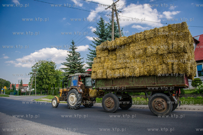 Traktor ciagnacy przyczepe z sianem na drodze wojewodzkien...