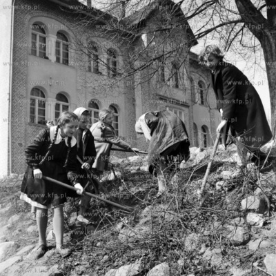 Uczennice szkoły podstawowej przy pracach porządkowych...