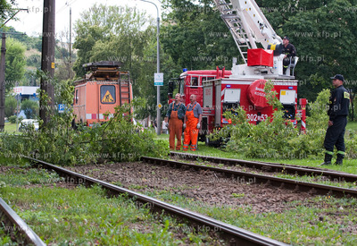 Gdansk. Uszkodzona przez drzewa trakcja tramwajowa...