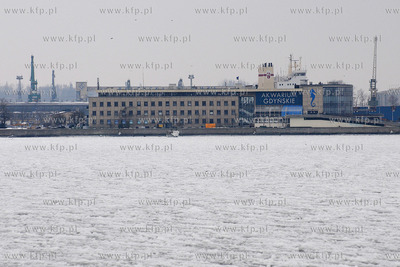 Widoki z Bulwaru Nadmorskiego w Gdyni. Nz. Akwarium...