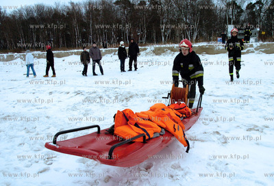 Strazacy z Ustki uratowali labedzia, ktory przymarzl...