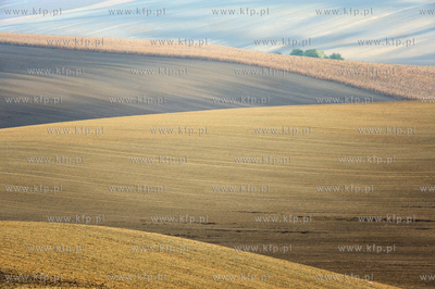 Morawy. Czechy. Okolice miejscowosci Kijev. Nz. pola...