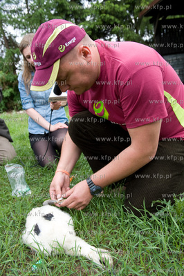 Jak co roku pracownicy Grupy ENERGA wraz z ornitologami...