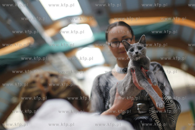 Sopot. Hala 100-lecia Sopotu. Miedzynarodowa Wystawa...