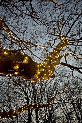 Świąteczna Instalacja świetlna na Placu Świętopełka...