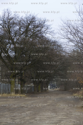 Gdańsk. Równoległa polna droga do ulicy Sobieskiego.
08.03.2016
fot....