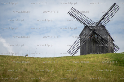 Wiatrak koźlak w Ręboszewie na górze Sobótka. 01.07.2023...