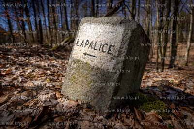 Leśny kierunkowskaz na Łapalice. 10.04.2023 fot....