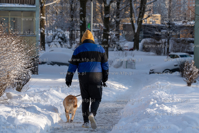 Zima w Gdańsku. Morena. spacer z psem.  12.01.2026...